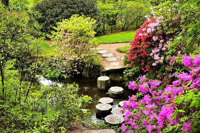 Acadia National Park Bass Harbor Lighthouse Private Driving Tour - Who Is This Tour Best For?