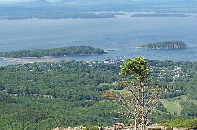 Acadia National Park & Boston 3-Day Tour from NYC | Kids 50% Off - FAQs