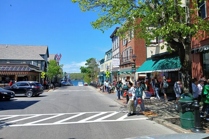 Acadia Woody's Cadillac Loop 3 Hour Driving Tour - Final Thoughts
