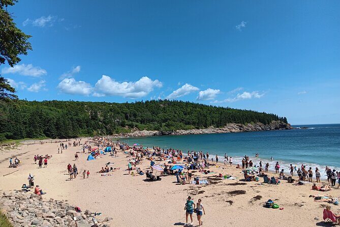 Acadia Woody's Utmost Coast 3 Hour Driving Tour - The Concept and Who It’s For