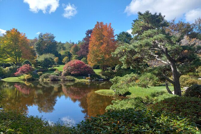 Acadia Woody's Utmost Coast 3 Hour Driving Tour - Otter Point and Otter Creek: Dramatic Cliffs and Coastal Views