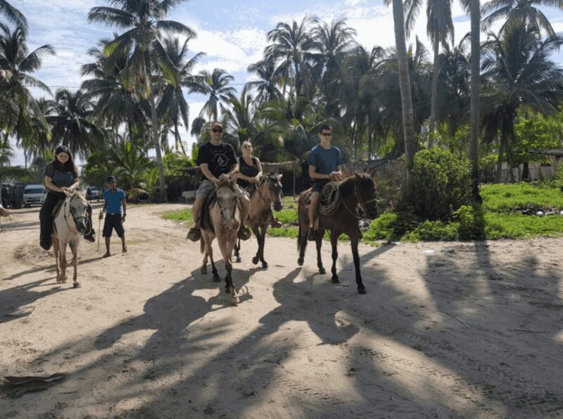 Acapulco: Bonfil Beach Horseback Riding Experience - Final Thoughts