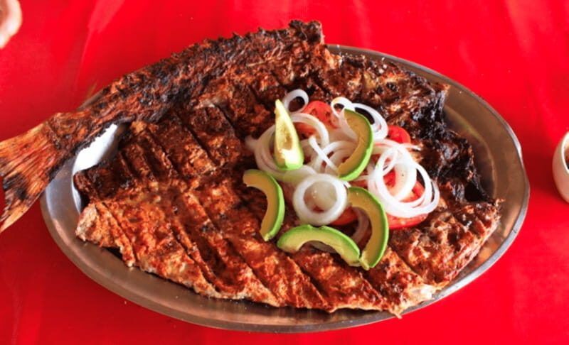 Acapulco: Ecological Tour - Final Thoughts