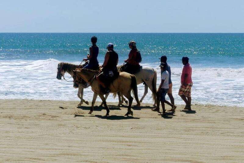 -Acapulco: Horseback Ride Exp. Crocodile Farm, and City Tour - Acapulco: Horseback Ride, Crocodile Farm, and City Tour — A Detailed Look
