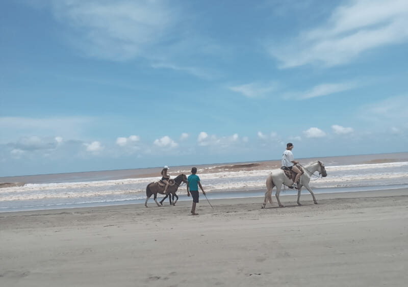 Acapulco: Horseback Riding, Turtle Camp, and Crocodile Tour - A Closer Look at the Experience