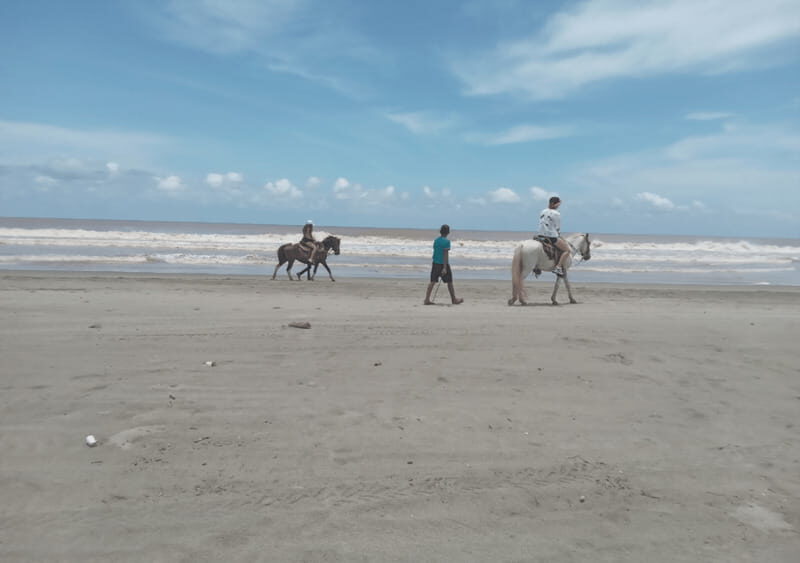 Acapulco: Horseback Riding, Turtle Camp, and Crocodile Tour - The Itinerary in Detail