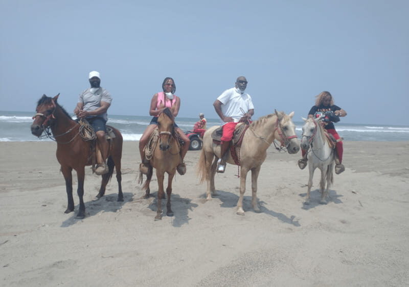 Acapulco: Horseback Riding, Turtle Camp, and Crocodile Tour - The Pros and Cons: Is It Worth It?