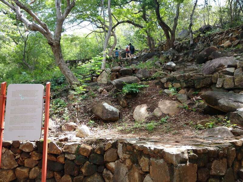 -Acapulco: Palma Sola Petroglyphs Experience Market + Lunch - Final Thoughts