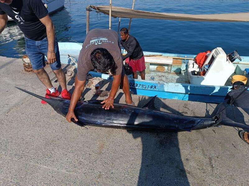 Acapulco: Private Fishing Experience - What to Expect from the Private Fishing Experience