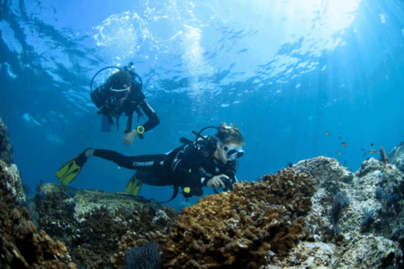 Acapulco: Scuba Diving in Roqueta Island - Key Points