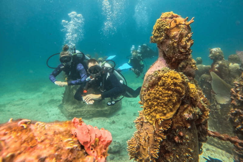 Acapulco: Scuba Diving in Roqueta Island - Cost and Value