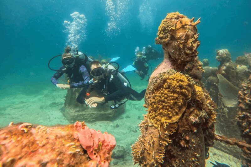 Acapulco: Scuba Diving in Roqueta Island - The Experience Provider and Booking