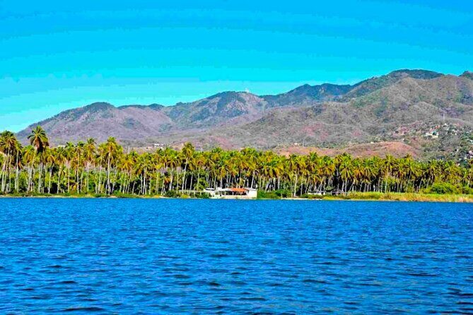 Acapulco Shore Excursion: Coyuca Lagoon Cruise - Exploring the Coyuca Lagoon Cruise in Acapulco: An Honest Look