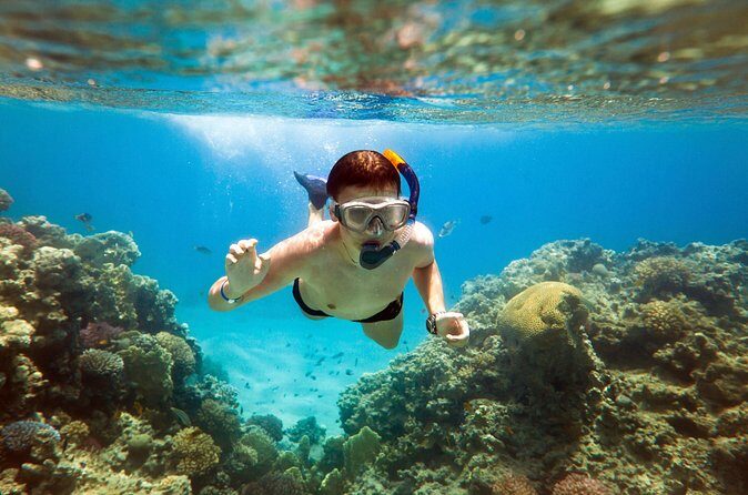 Acapulco Snorkeling Tour - Wrapping It Up