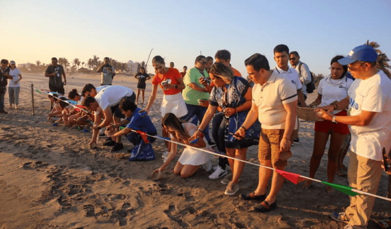 Acapulco: Turtle Release Experience - Final Thoughts