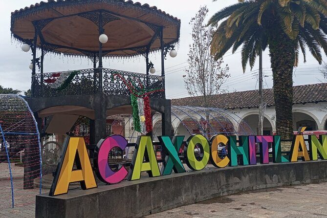 Acaxochitlán Local Community and Traditions Tour from Mexico - An In-Depth Look at the Itinerary