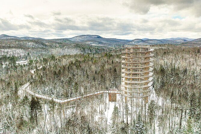 Access to Mont-Tremblant Treetop Observatory and Walk - Exploring the Mont-Tremblant Treetop Observatory and Walk: An Honest Look