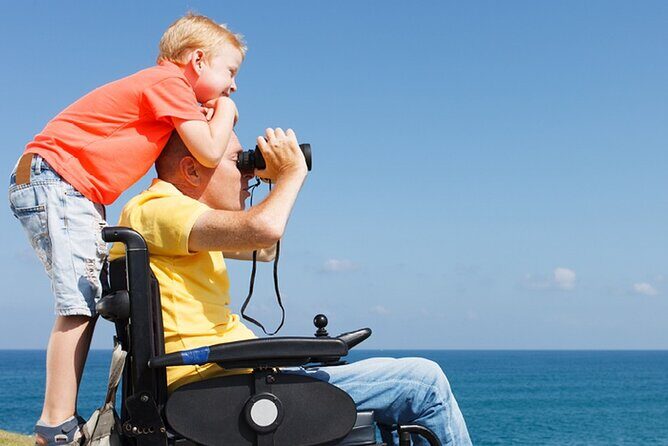 Accessible Tour In Athens, 3 Hours Athens Panorama Shore Excursion - A Deep Dive into the 3-Hour Athens Panorama Tour