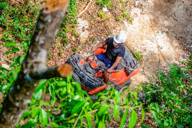 Action-packed Cancun ATV tour, Ziplines, Cenote, Lunch and More - Lunch and Refreshments