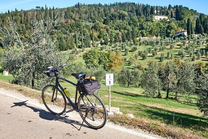 Active Full Day Tuscan Bike Tour With Wine Tasting and Lunch - An Overview of the Tour
