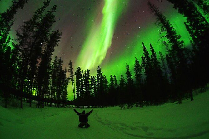 Active Winter Adventure in Yukon | 5 days - Exploring the Itinerary: What to Expect Each Day