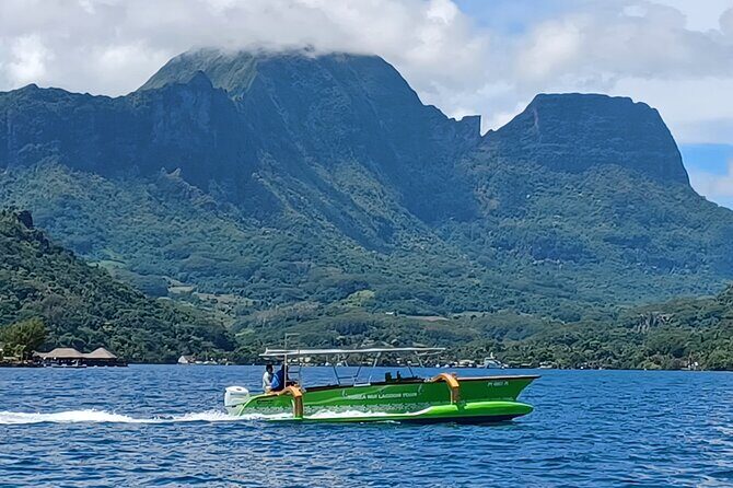 Activity/Excursion Lagoon Tour to Moorea by Canoe 6 hours - Who Is This Tour Best For?