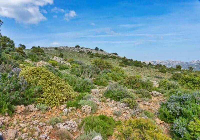 Adarre: Trek to the wild heart of the Supramonte - Exploring the Full Experience of the Supramonte Trek