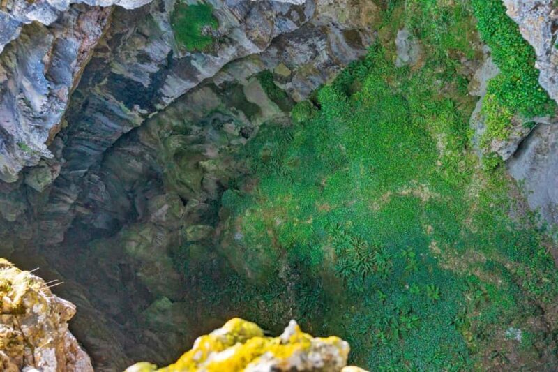 Adarre: Trek to the wild heart of the Supramonte - Who Should Consider This Tour?