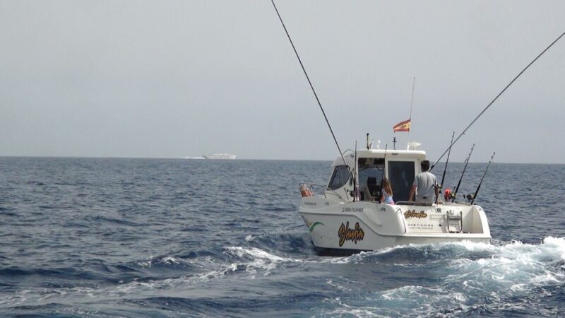 Adeje: 3.5Hour Professional Fishing Experience - Is It Worth the Price?