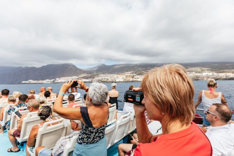 Adeje: Whale and Dolphin Watching Cruise with Lunch and Swim - Who Is This Tour Best For?
