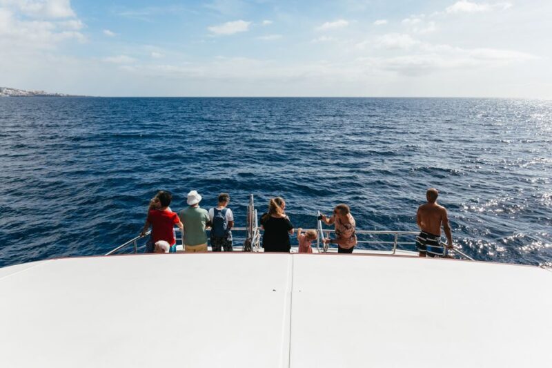 Adeje: Whale and Dolphin Watching Cruise with Lunch and Swim - Final Thoughts