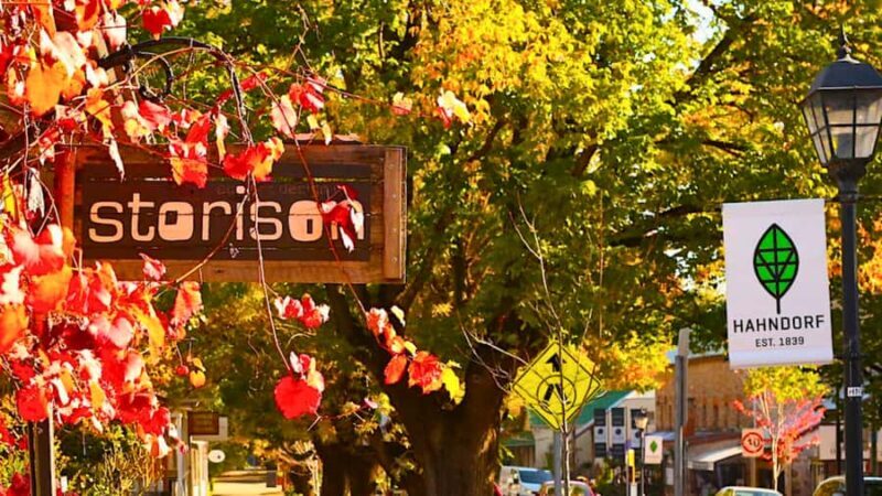 Adelaide City Highlights Half-Day Tour, Mt Lofty & Hahndorf - Key Points