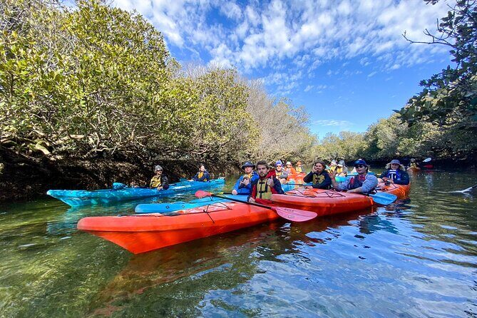Adelaide Dolphin Sanctuary and Ships Graveyard Kayak Tour - Key Points
