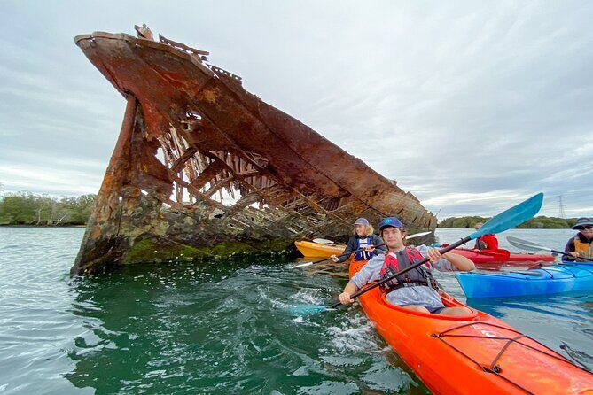 Adelaide Dolphin Sanctuary and Ships Graveyard Kayak Tour - The Sum Up