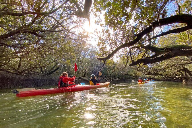 Adelaide Dolphin Sanctuary and Ships Graveyard Kayak Tour - FAQ