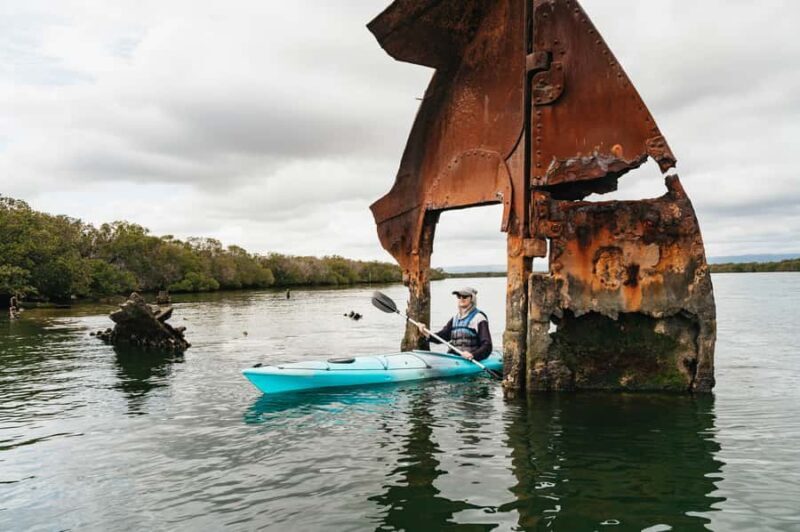 Adelaide: Dolphin Sanctuary Eco Kayaking Tour - What to Expect on the Tour