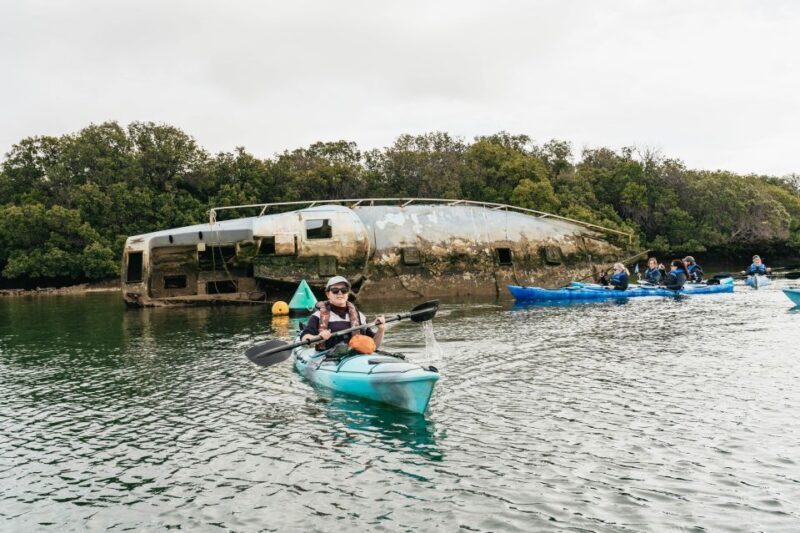 Adelaide: Dolphin Sanctuary Eco Kayaking Tour - Who Is This Tour For?