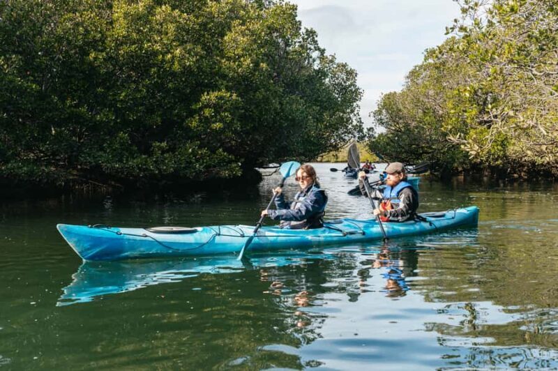 Adelaide: Dolphin Sanctuary Eco Kayaking Tour - FAQs