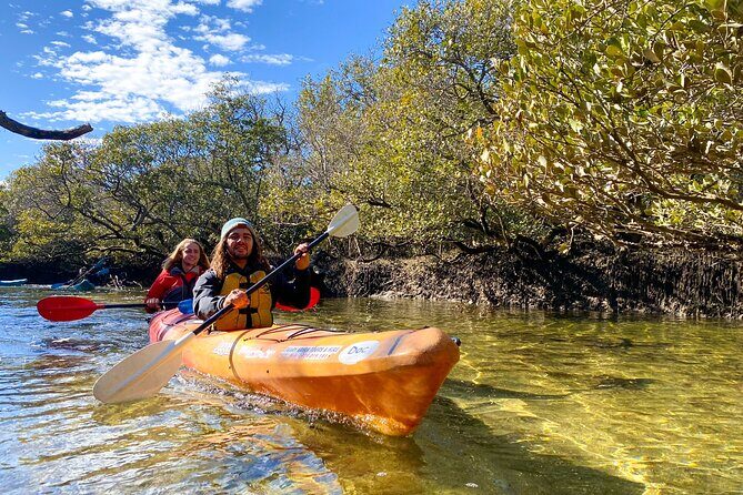 Adelaide Dolphin Sanctuary Mangroves Kayaking Tour - Exploring the Adelaide Dolphin Sanctuary Mangroves Kayaking Tour: A Friendly Review
