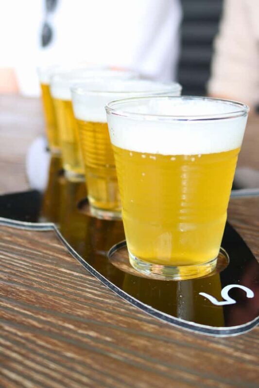 Adelaide: Fleurieu Snorkel & Beer Safari - What is the Fleurieu Snorkel & Beer Safari?