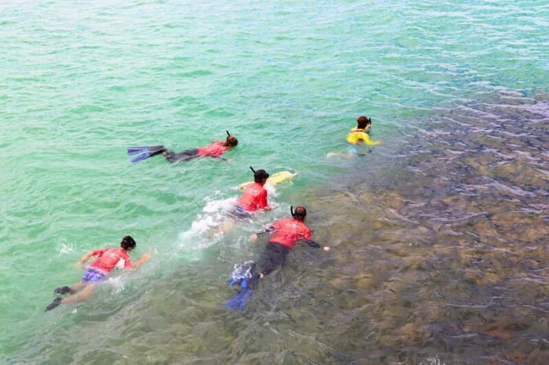 Adelaide: Fleurieu Snorkel & Beer Safari - Who Will Love This Tour?