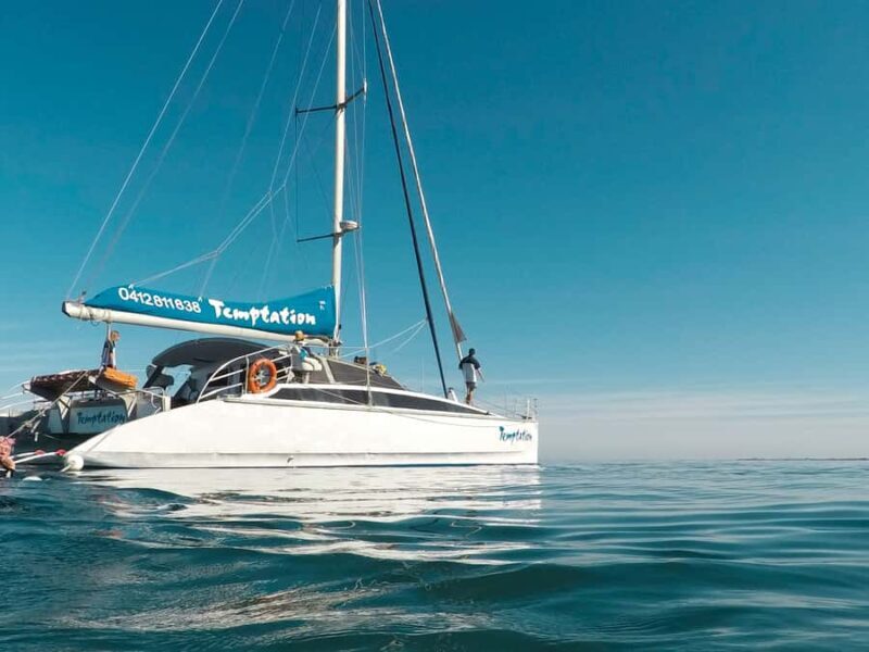 Adelaide: Glenelg Twilight Catamaran Cruise with Drink - An Overview of the Experience