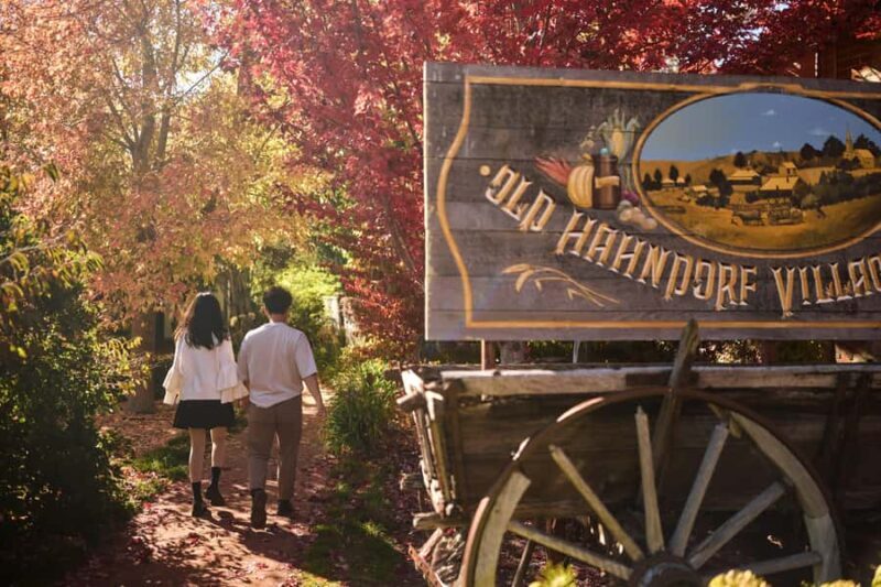 Adelaide: Highlights, Hahndorf & McLaren Vale Wine Tasting - Key Points