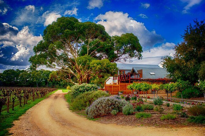 Adelaide Hills Full Day Wine Tour - Final Thoughts