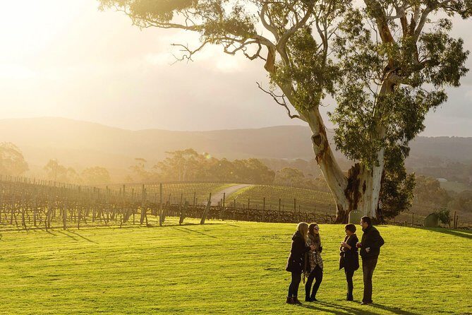 Adelaide Hills & Hahndorf Hop-On Hop-Off Wine Tour - Key Points