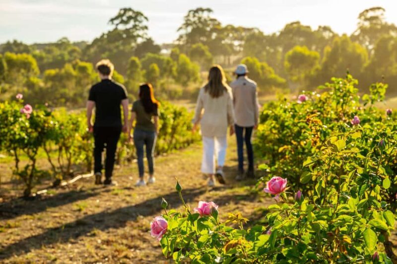 Adelaide Hills: Jurlique Farm Tour - Exploring the Jurlique Farm Tour
