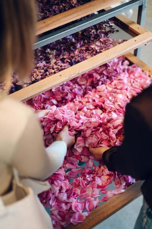 Adelaide Hills: Jurlique Private Immersion - Key Points