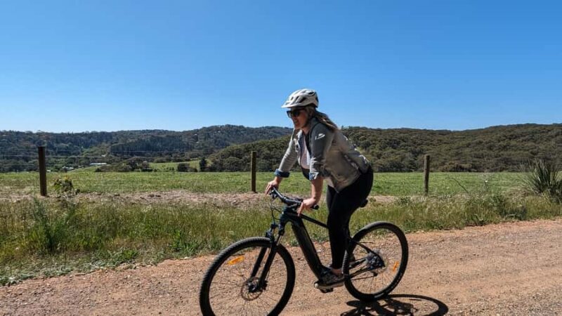 Adelaide Hills: Self-guided E-Bike wine tour with Lunch - Handling the Challenge