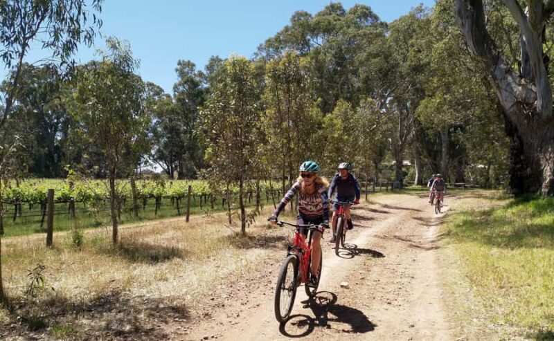 Adelaide Hills: Self-guided E-Bike wine tour with Lunch - Pricing and Value
