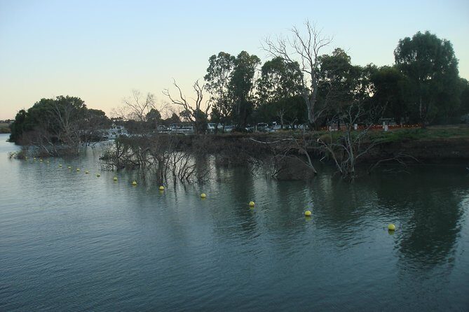 Adelaide Hills Tour with River Murray Lunch Cruise - The Murray River Cruise